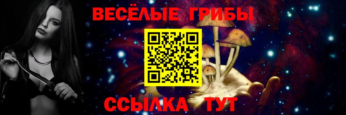 Галлюциногенные грибы Magic Shrooms Партизанск
